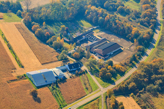 Pferdehof in Hagenbach im Bundesland Rheinland-Pfalz, Deutschland