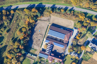 Schrägluftbild von Pferdehof in Hagenbach im Bundesland Rheinland-Pfalz, Deutschland