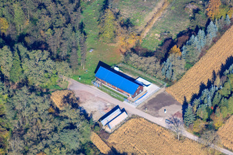 Geranienweg in Hagenbach im Bundesland Rheinland-Pfalz, Deutschland
