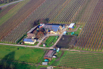 Gensheimer Hofladen in Steinweiler im Bundesland Rheinland-Pfalz, Deutschland