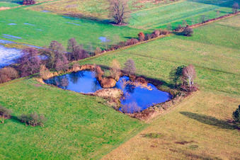 Biotop in der Otterbachniederung in Minfeld im Bundesland Rheinland-Pfalz, Deutschland