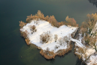 Halbinsel im Baggersee Johanneswiese im Winter bei Schnee in Jockgrim im Bundesland Rheinland-Pfalz, Deutschland