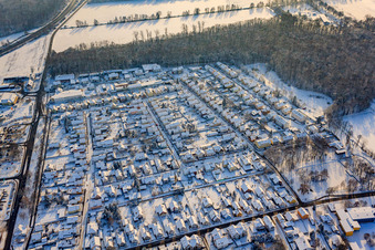 Luftbild von Siedlung im Winter bei Schnee in Kandel im Bundesland Rheinland-Pfalz, Deutschland