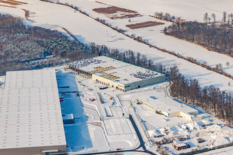 Im Schnee im Ortsteil Minderslachen in Kandel im Bundesland Rheinland-Pfalz, Deutschland