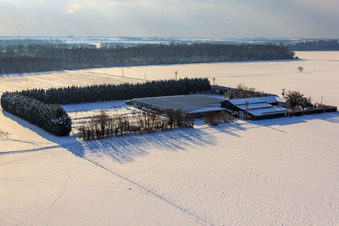 Sudetenhof im Winter bei Schnee in Steinweiler im Bundesland Rheinland-Pfalz, Deutschland
