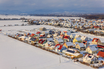 Ahornweg im Winter bei Schnee in Steinweiler im Bundesland Rheinland-Pfalz, Deutschland