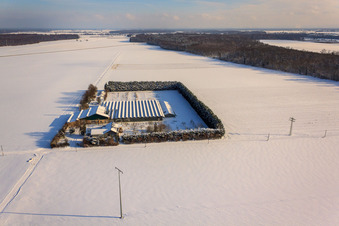 Luftaufnahme von Sudetenhof im Winter bei Schnee in Steinweiler im Bundesland Rheinland-Pfalz, Deutschland