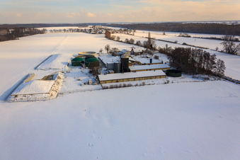 Wagner Ranch im Winter bei Schnee in Steinweiler im Bundesland Rheinland-Pfalz, Deutschland
