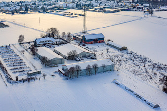 Schoßberghof im Winter bei Schnee in Minfeld im Bundesland Rheinland-Pfalz, Deutschland