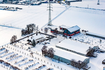Luftbild von Schoßberghof im Winter bei Schnee in Minfeld im Bundesland Rheinland-Pfalz, Deutschland