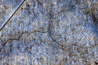 Verlauf des Pfirsinggraben im Bienwald bei Schnee im Winter im Ortsteil Büchelberg in Wörth am Rhein im Bundesland Rheinland-Pfalz, Deutschland