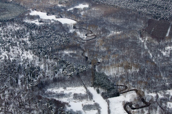 Schleithal (Elsass), Lautertal im Bienwald im Bundesland Bas-Rhin, Frankreich