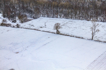 Hochsitz am Neugraben in der Otterbachniederung bei Schnee im Winter im Ortsteil Schaidt in Wörth am Rhein im Bundesland Rheinland-Pfalz, Deutschland