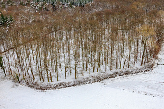 Waldfriedhof Bienwaldruhe bei Schnee im Winter in Kandel im Bundesland Rheinland-Pfalz, Deutschland