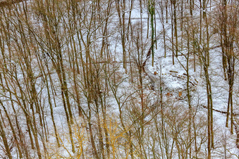 Luftbild von Waldfriedhof Bienwaldruhe bei Schnee im Winter in Kandel im Bundesland Rheinland-Pfalz, Deutschland