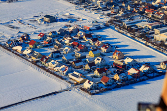 Buchenweg bei Schnee im Winter in Steinweiler im Bundesland Rheinland-Pfalz, Deutschland