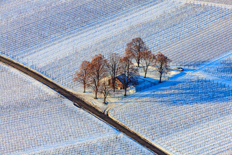 Hoppeditzelhäusel bei Schnee im Winter in Impflingen im Bundesland Rheinland-Pfalz, Deutschland
