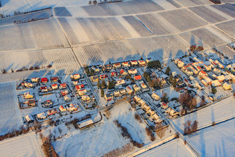 Niederhorbach im Bundesland Rheinland-Pfalz, Deutschland vom Flugzeug aus