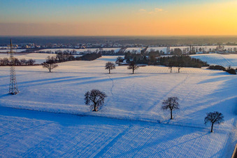 Felder und Nussbäume am Abend im Winter bei Schnee in Vollmersweiler im Bundesland Rheinland-Pfalz, Deutschland