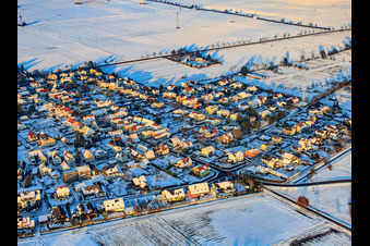 Luftbild von Holzgasse im Abendlicht bei Schnee im Winter in Minfeld im Bundesland Rheinland-Pfalz, Deutschland