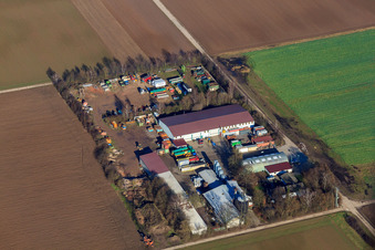 Gärtner Dienstleistungen in Bellheim im Bundesland Rheinland-Pfalz, Deutschland