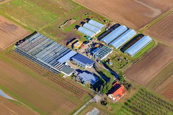 Hofladen Rainer & Sandra Kästel GbR im Ortsteil Geinsheim in Neustadt an der Weinstraße im Bundesland Rheinland-Pfalz, Deutschland
