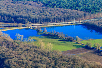 Im Winter überflutete Otterbachwiesen an der A65 in Kandel im Bundesland Rheinland-Pfalz, Deutschland