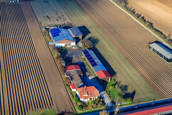 Alois Böhm Hofladem am Mühlweg in Hördt im Bundesland Rheinland-Pfalz, Deutschland