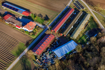 Schrägluftbild von Alois Böhm Hofladem am Mühlweg in Hördt im Bundesland Rheinland-Pfalz, Deutschland