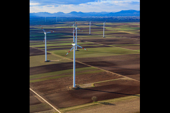 Windpark in Rülzheim im Bundesland Rheinland-Pfalz, Deutschland