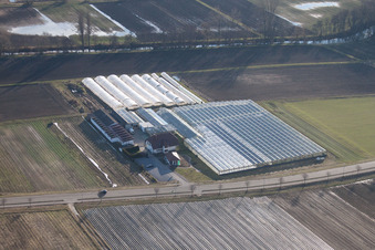 Biogärtnerei/-Laden in Herxheim bei Landau im Bundesland Rheinland-Pfalz, Deutschland