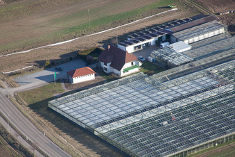 Luftbild von Biogärtnerei/-Laden in Herxheim bei Landau im Bundesland Rheinland-Pfalz, Deutschland