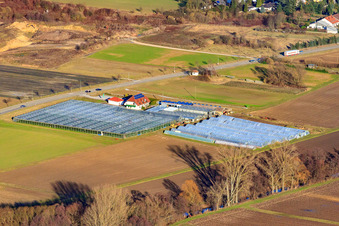 Schrägluftbild von Biogärtnerei/-Laden in Herxheim bei Landau im Bundesland Rheinland-Pfalz, Deutschland