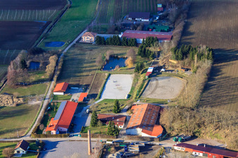 Gestüt am Obsthof Zirker KG in Herxheim bei Landau im Bundesland Rheinland-Pfalz, Deutschland