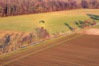Wiesen in der Otterbachniederung in Freckenfeld im Bundesland Rheinland-Pfalz, Deutschland