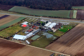 Adamshof in Kandel im Bundesland Rheinland-Pfalz, Deutschland aus der Luft