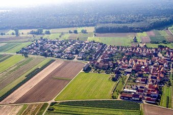 Maxstr in Hatzenbühl im Bundesland Rheinland-Pfalz, Deutschland aus der Luft