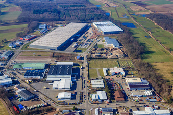 Luftaufnahme von Horstring im Ortsteil Minderslachen in Kandel im Bundesland Rheinland-Pfalz, Deutschland