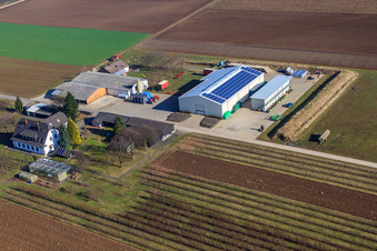 Bauers Garten in Winden im Bundesland Rheinland-Pfalz, Deutschland von der Drohne aus gesehen