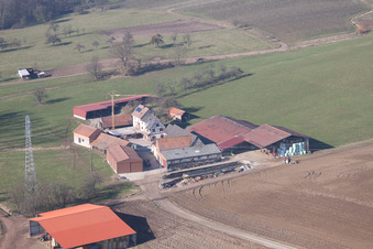 Riedseltz im Bundesland Bas-Rhin, Frankreich von oben