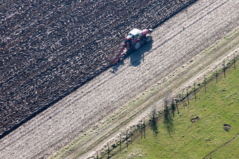 Umpflugarbeiten und Umschichtung der Erde durch einen Traktor mit Pflug auf landwirtschaftlichen Feldern in Lampertsloch in Alsace-Champagne-Ardenne-Lorraine im Bundesland Bas-Rhin, Frankreich