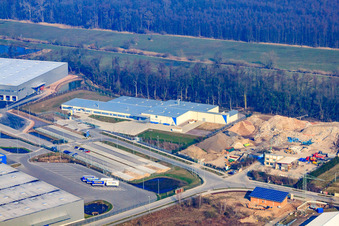 Thermo Fisher im Ortsteil Minderslachen in Kandel im Bundesland Rheinland-Pfalz, Deutschland