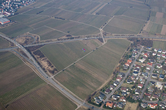 Landau in der Pfalz im Bundesland Rheinland-Pfalz, Deutschland von einer Drohne aus