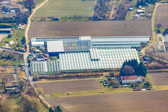 Gärtnerei an der Ziegelstr im Ortsteil Sondernheim in Germersheim im Bundesland Rheinland-Pfalz, Deutschland von oben