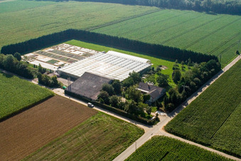 Sudetenhof in Steinweiler im Bundesland Rheinland-Pfalz, Deutschland aus der Luft