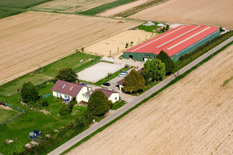 Pferdehof Fohlenhof in Steinweiler im Bundesland Rheinland-Pfalz, Deutschland