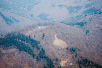 Thingstätte auf dem Heiligenberg im Ortsteil Handschuhsheim in Heidelberg im Bundesland Baden-Württemberg, Deutschland