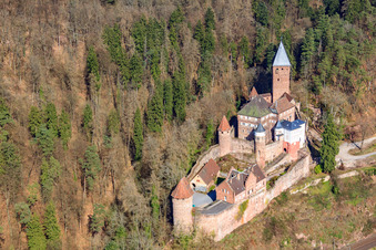 Schloss Zwingenberg über dem Neckar von Westen im Bundesland Baden-Württemberg, Deutschland von oben