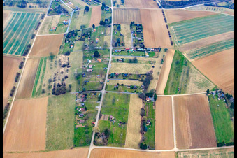 Gartengrundstücke am Wilfenberg in Oberderdingen im Bundesland Baden-Württemberg, Deutschland