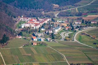 Psychatrische Landesklinik Landeck in Klingenmünster im Bundesland Rheinland-Pfalz, Deutschland von oben
